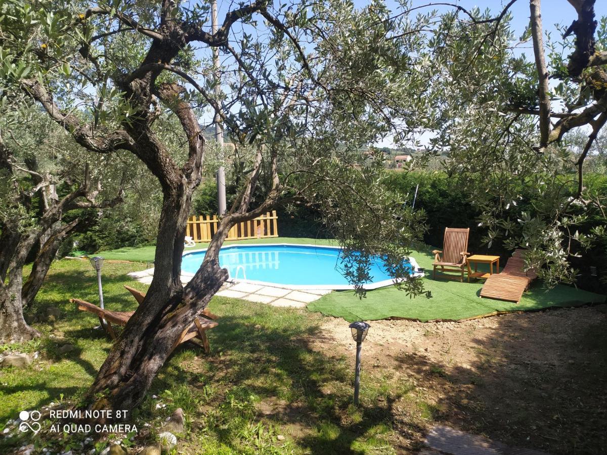 Il Borgo Dei Pini Apartment Vinci Luaran gambar