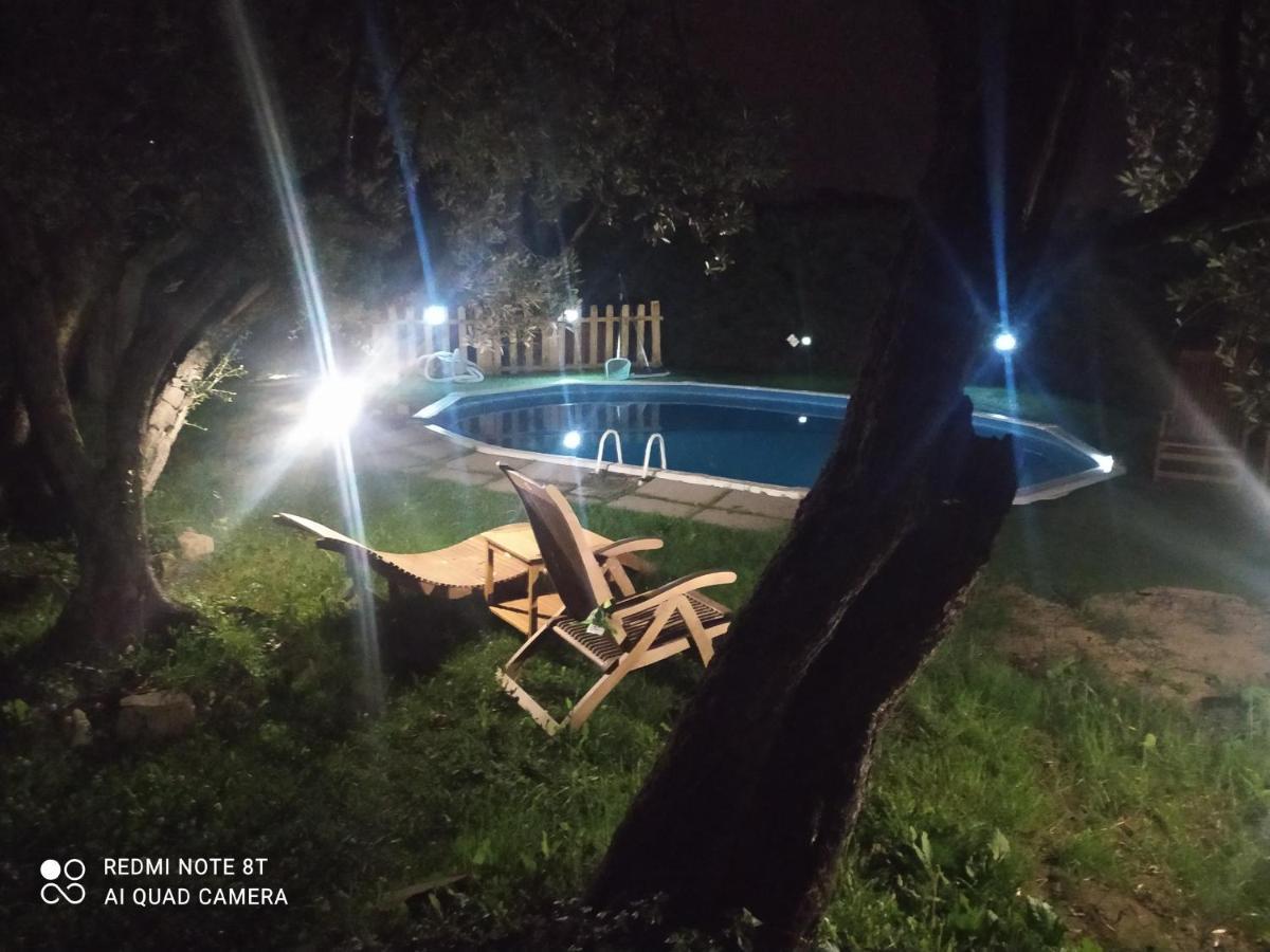Il Borgo Dei Pini Apartment Vinci Luaran gambar