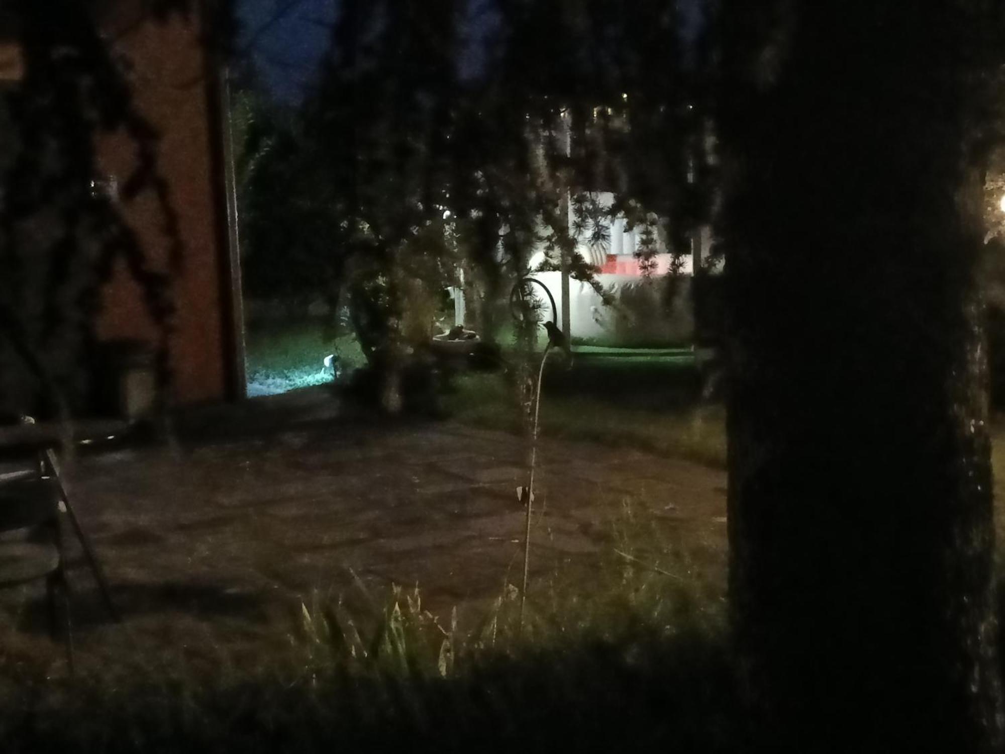 Il Borgo Dei Pini Apartment Vinci Luaran gambar
