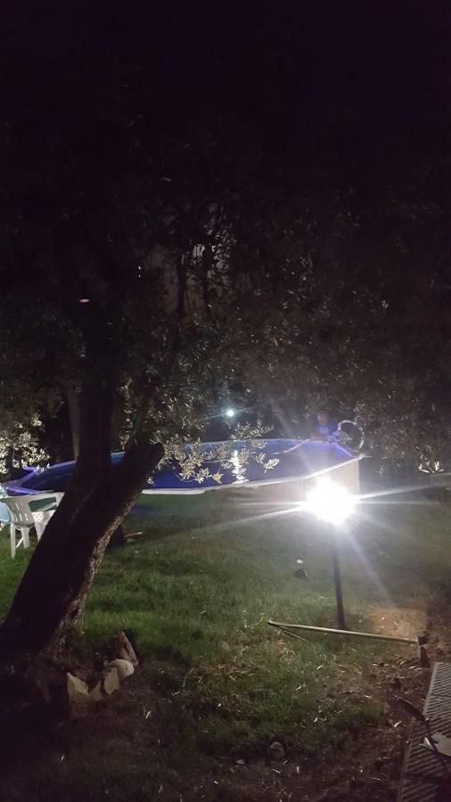 Il Borgo Dei Pini Apartment Vinci Luaran gambar