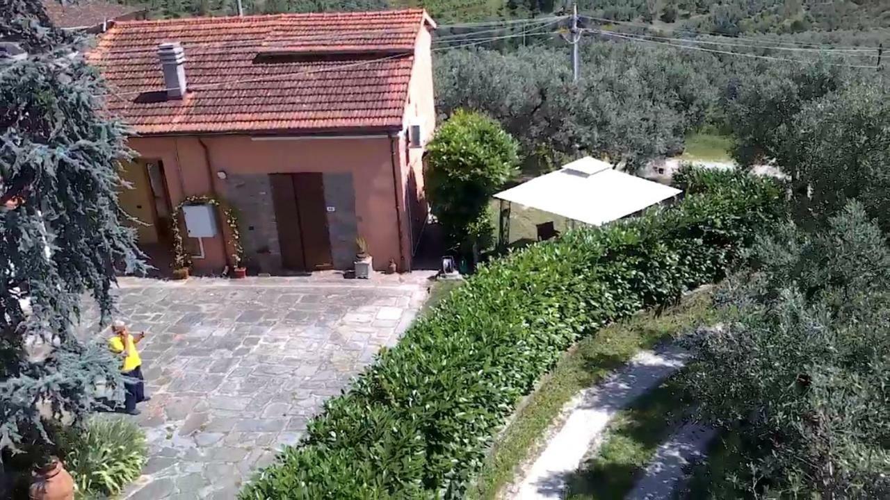Il Borgo Dei Pini Apartment Vinci Luaran gambar