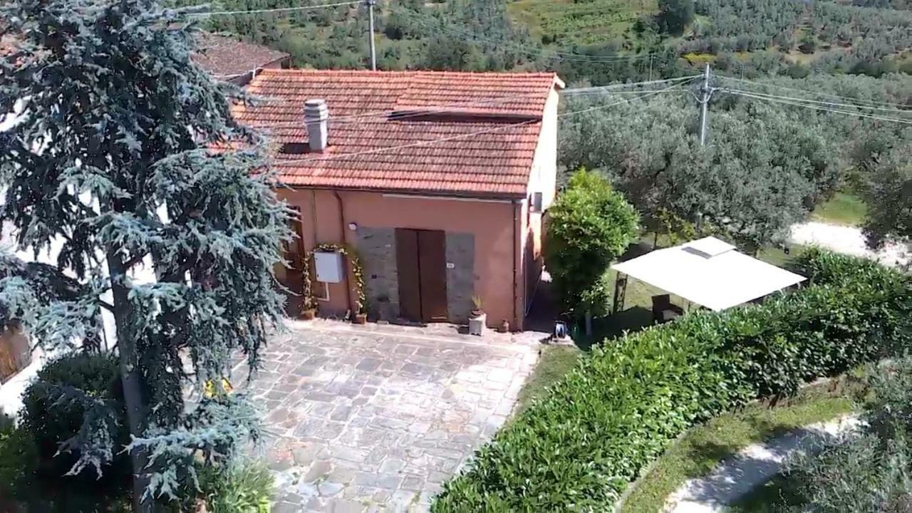 Il Borgo Dei Pini Apartment Vinci Luaran gambar